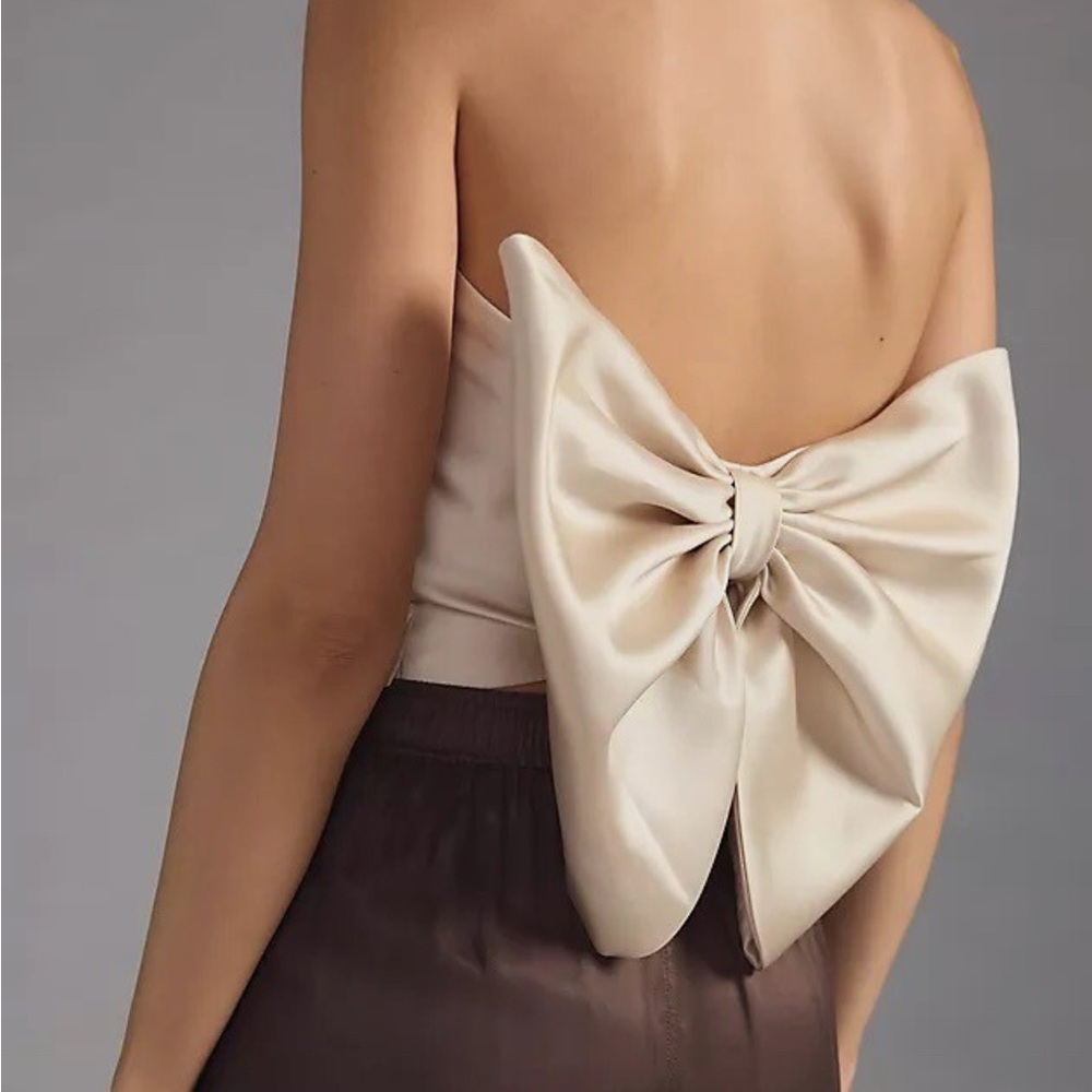 Hutch By Anthropologie Strapless Bow Bandeau Crop Top